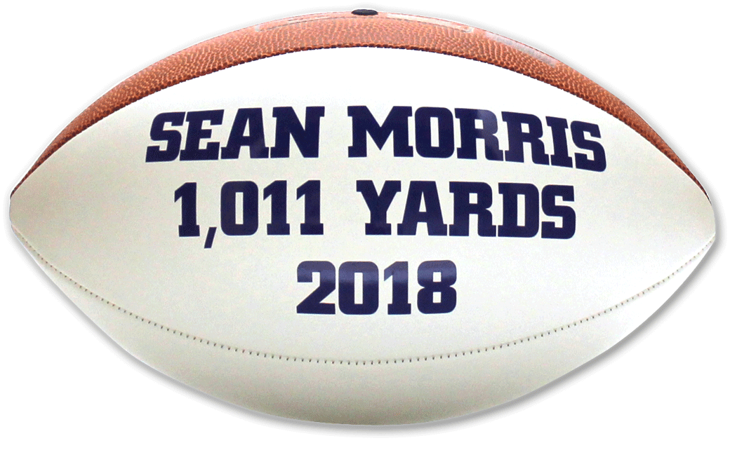 Signature Series Football